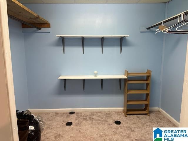 clothes washing area featuring light colored carpet