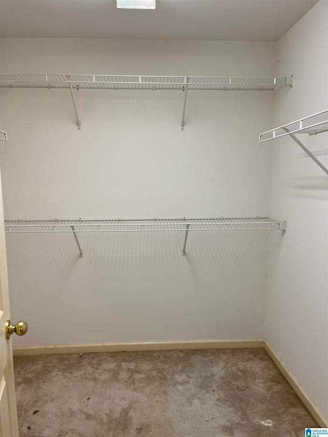 walk in closet featuring carpet