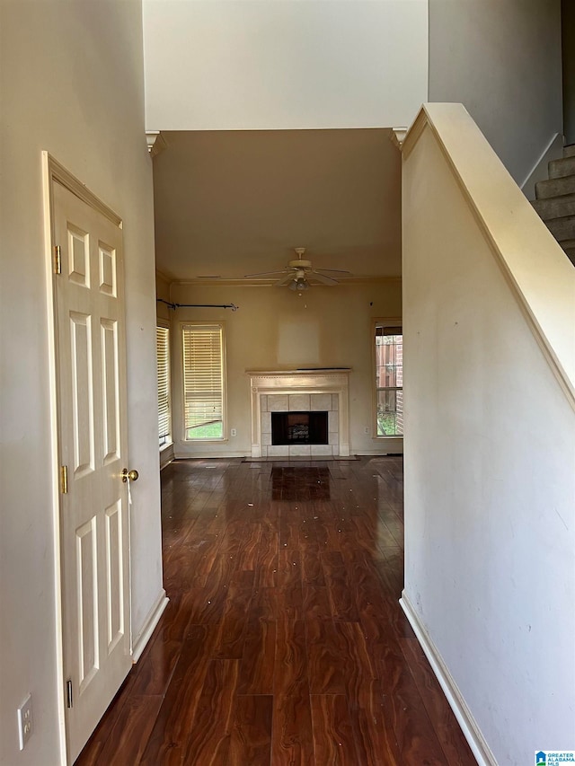 hall featuring a wealth of natural light and dark hardwood / wood-style floors