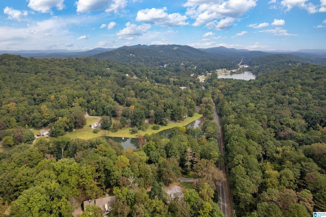 drone / aerial view with a water and mountain view