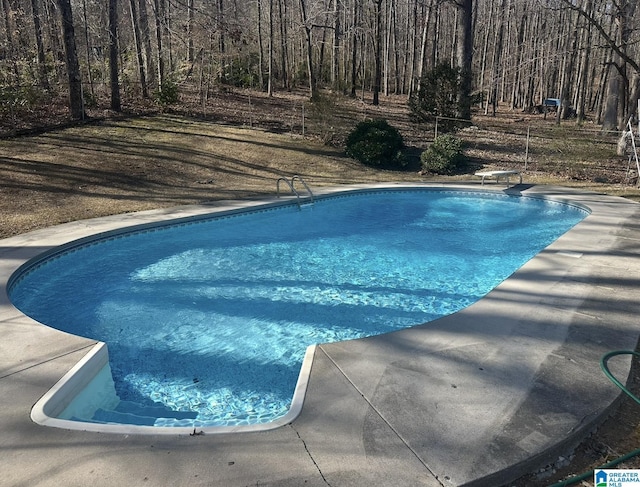 outdoor pool with a diving board