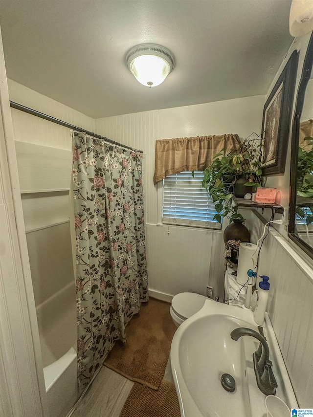 full bath featuring toilet and a sink