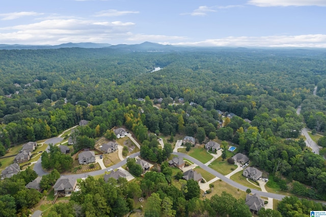 drone / aerial view featuring a mountain view