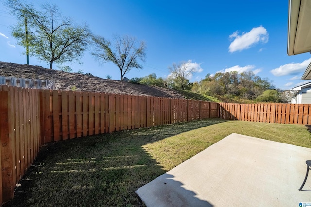 view of yard featuring a patio