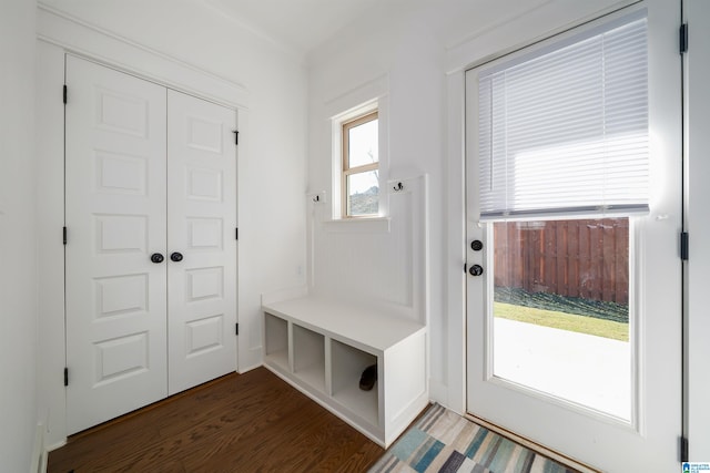 mudroom with dark wood-type flooring