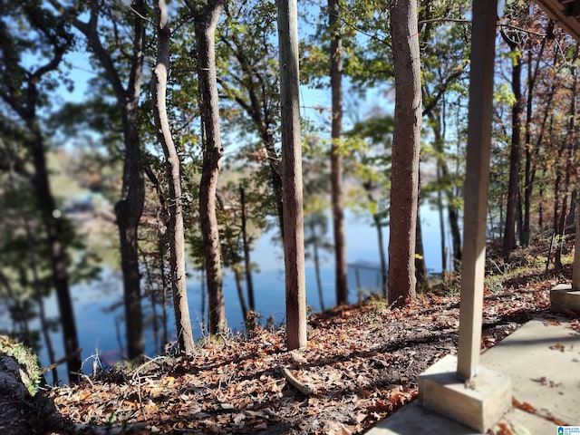 view of water feature