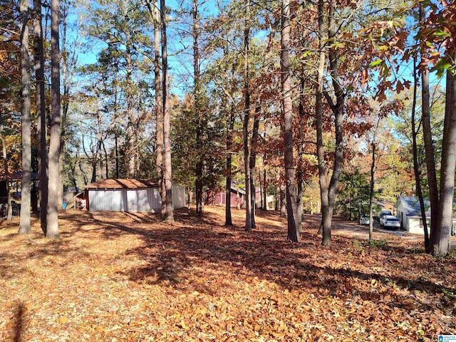 view of yard featuring an outbuilding