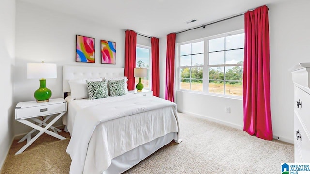 bedroom featuring carpet floors