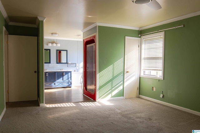 carpeted spare room with ceiling fan and ornamental molding