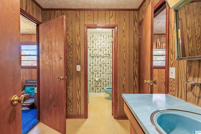 bathroom featuring vanity, toilet, a textured ceiling, and wooden walls