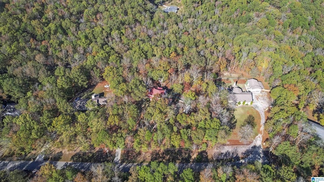 130 Big Oak Dr, Maylene, AL 35114 - view of property location featuring a forest