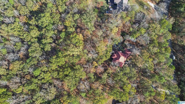 130 Big Oak Dr, Maylene, AL 35114 - aerial view of property's location