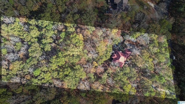130 Big Oak Dr, Maylene, AL 35114 - aerial view of property's location