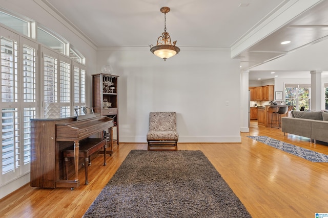 living area featuring light hardwood / wood-style floors and ornamental molding