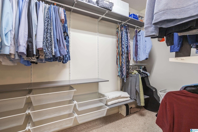 spacious closet featuring carpet floors