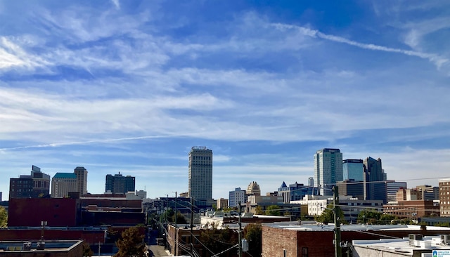 2416 1st Ave Unit 10, Birmingham, AL 35203 - view of city skyline
