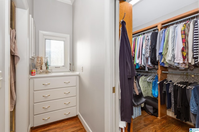 spacious closet featuring dark wood-type flooring