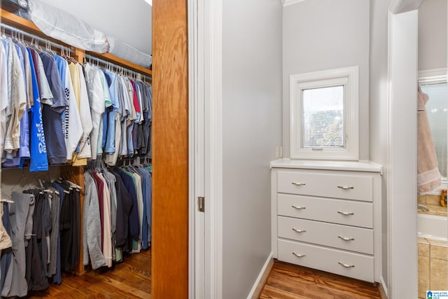 spacious closet with dark hardwood / wood-style floors