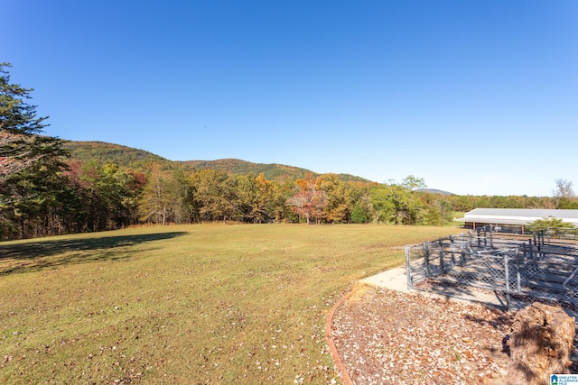 view of yard featuring a mountain view and a rural view