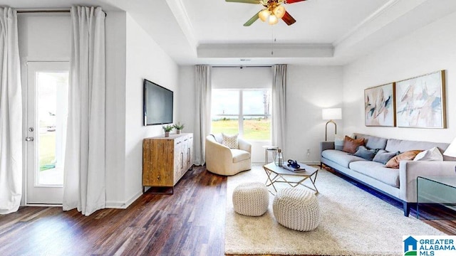 living room with dark hardwood / wood-style floors, ceiling fan, a raised ceiling, and ornamental molding