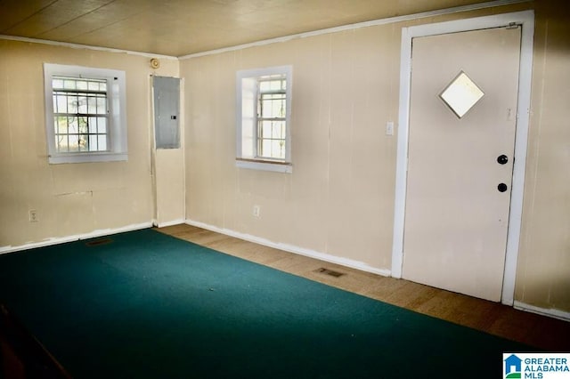 entryway featuring a healthy amount of sunlight, wood-type flooring, and electric panel