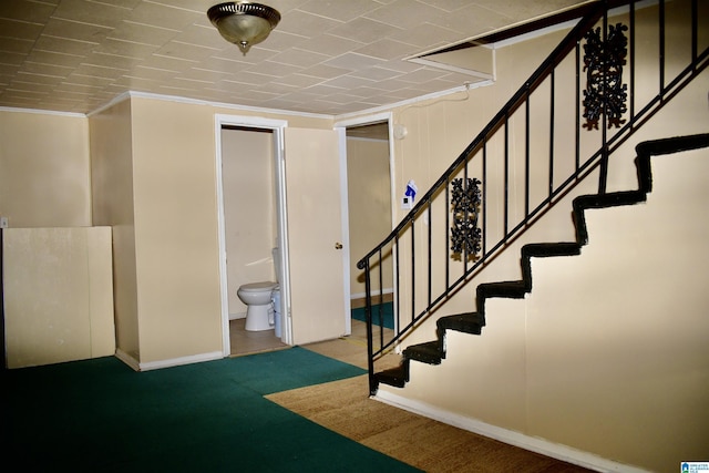 staircase featuring carpet flooring and crown molding