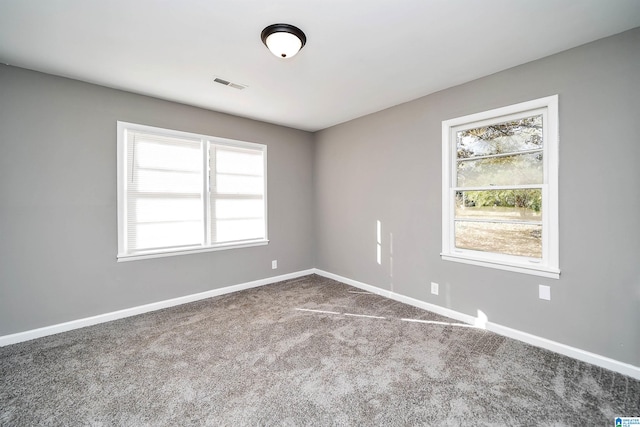 carpeted empty room featuring a wealth of natural light