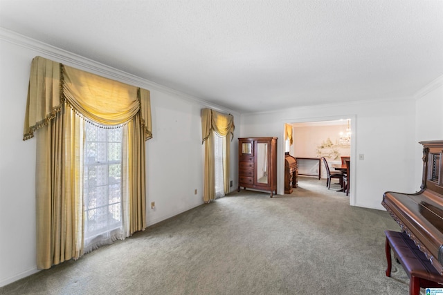 carpeted living room featuring a textured ceiling and ornamental molding