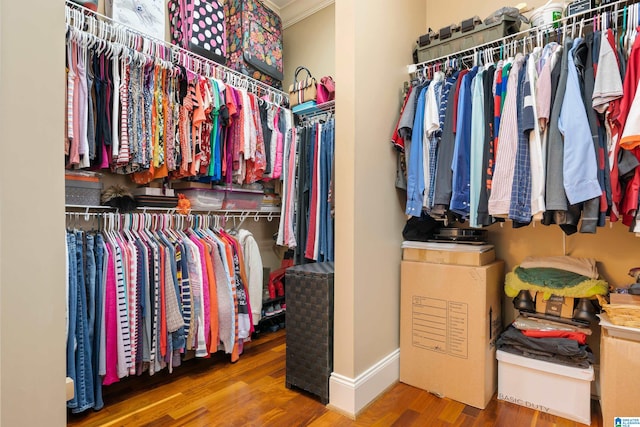 walk in closet with wood-type flooring