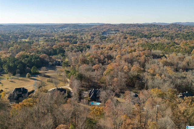 bird's eye view