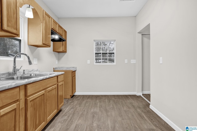 kitchen with light hardwood / wood-style flooring, hanging light fixtures, and sink