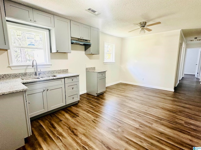 kitchen with dark wood-type flooring, sink, ceiling fan, gray cabinets, and a textured ceiling