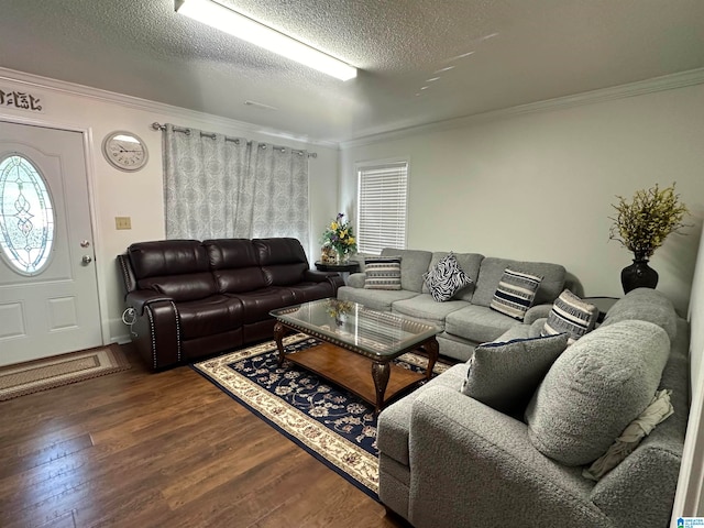 living room featuring dark hardwood / wood-style floors, ornamental molding, and a textured ceiling