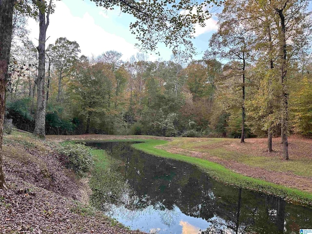 view of yard featuring a water view