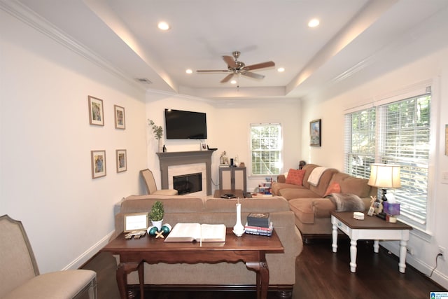 living room with a tray ceiling, crown molding, ceiling fan, and dark wood-type flooring