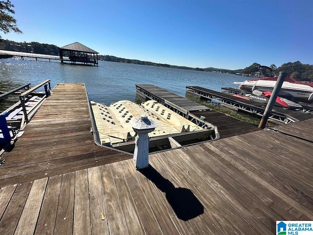 dock area with a water view