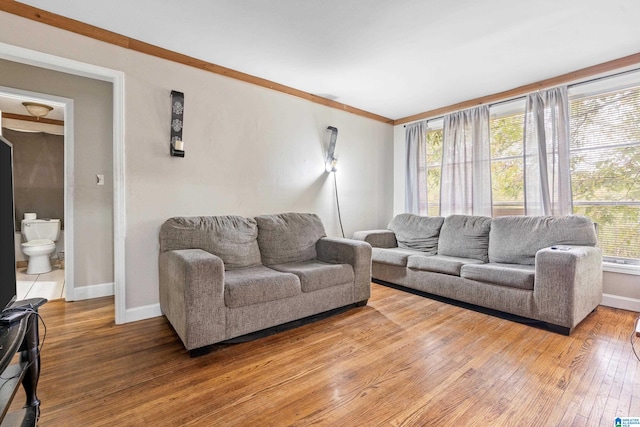 living room featuring hardwood / wood-style floors, plenty of natural light, and crown molding