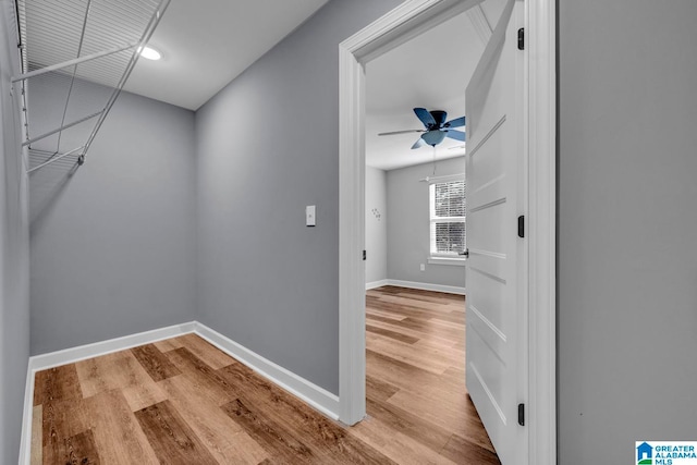 walk in closet featuring hardwood / wood-style flooring and ceiling fan