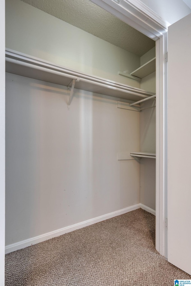 walk in closet featuring carpet flooring