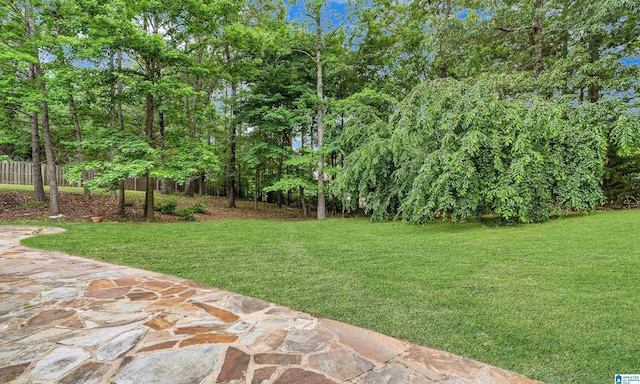 view of yard with a patio area