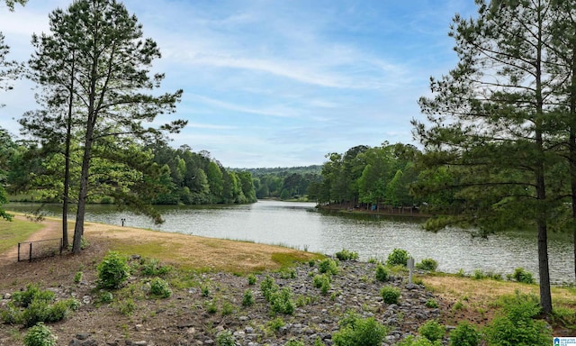 property view of water