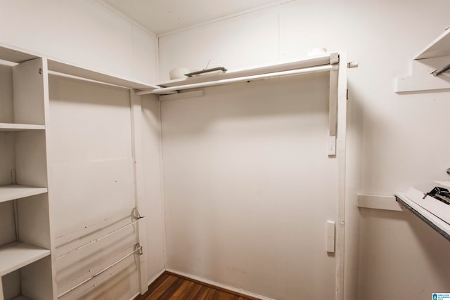 walk in closet featuring dark hardwood / wood-style floors