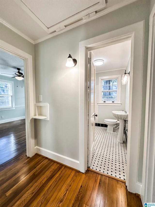 hall featuring dark hardwood / wood-style flooring and crown molding