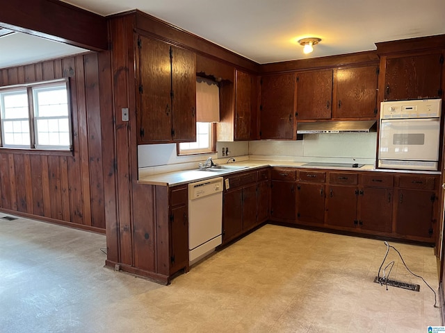 928 Horne Dr, Talladega, AL 35160 - kitchen with white appliances, under cabinet range hood, light floors, plenty of natural light, and wood walls
