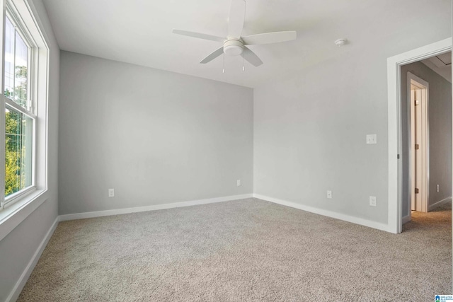 spare room featuring plenty of natural light, ceiling fan, and carpet floors