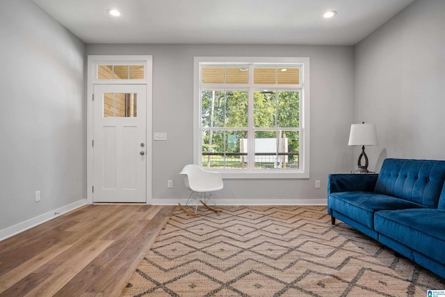 living room featuring wood-type flooring