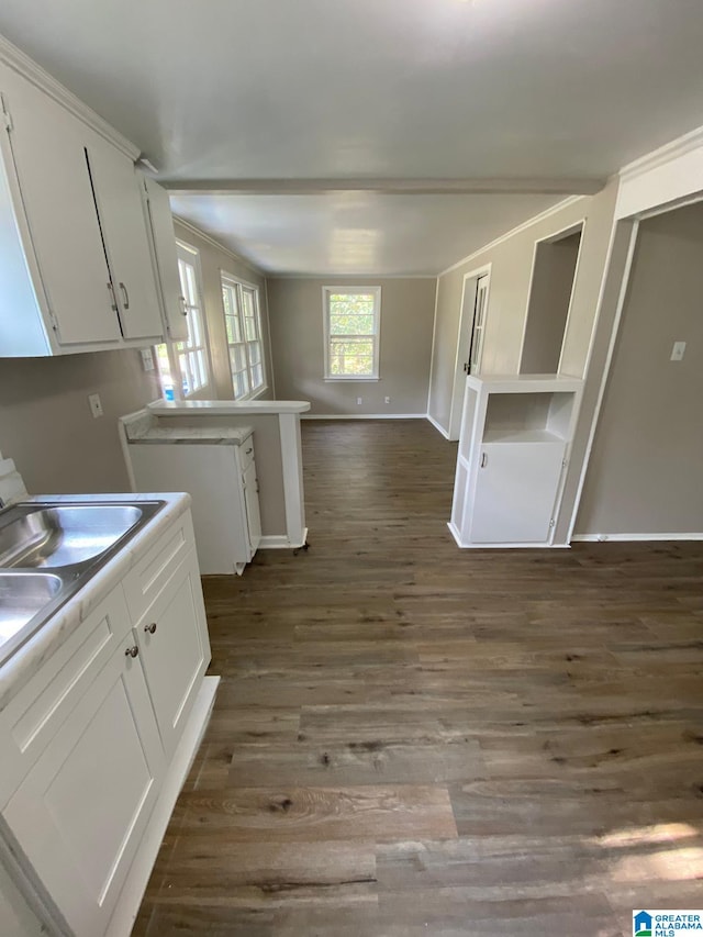 kitchen with white cabinetry, dark wood-type flooring, and sink