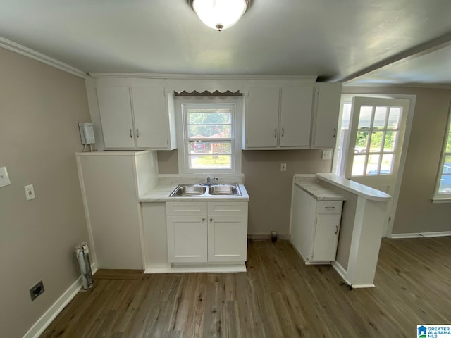 clothes washing area featuring hardwood / wood-style flooring, ornamental molding, and sink