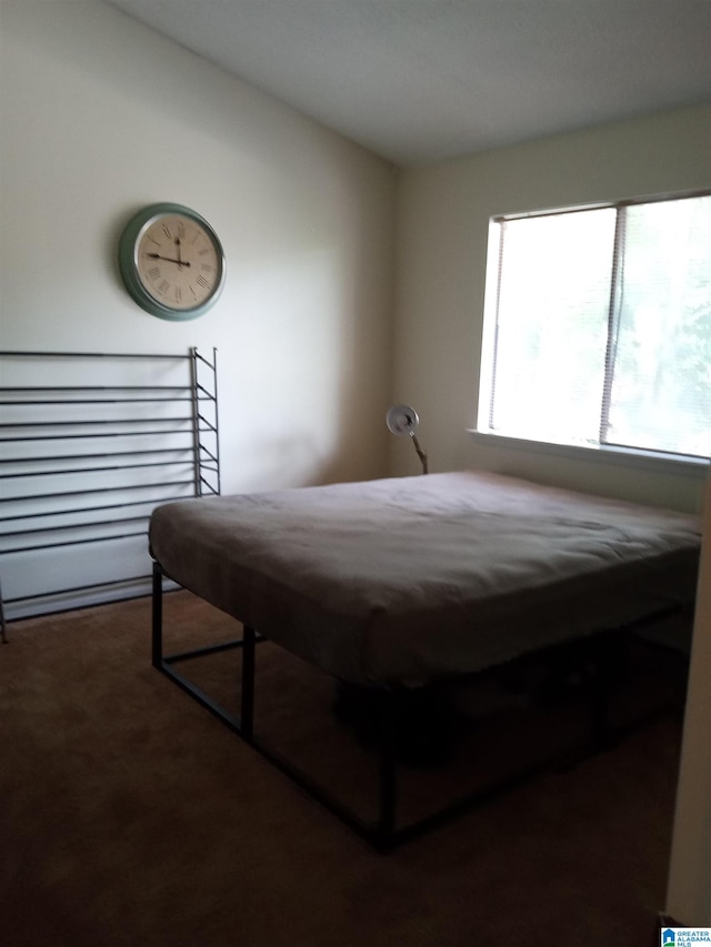 bedroom featuring carpet flooring