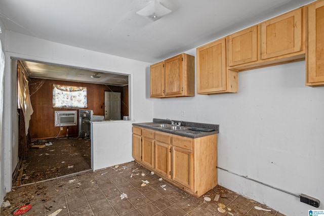 kitchen featuring an AC wall unit and sink